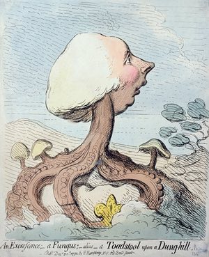 Gilray's Excrescence